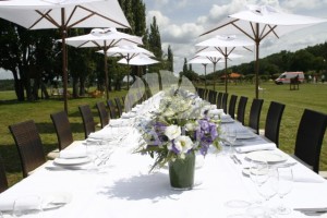 Napernyőbérlés 31